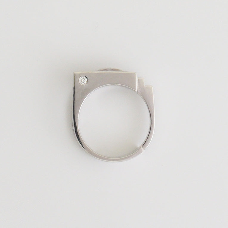 No.75 composition 4 Ring（PT900）