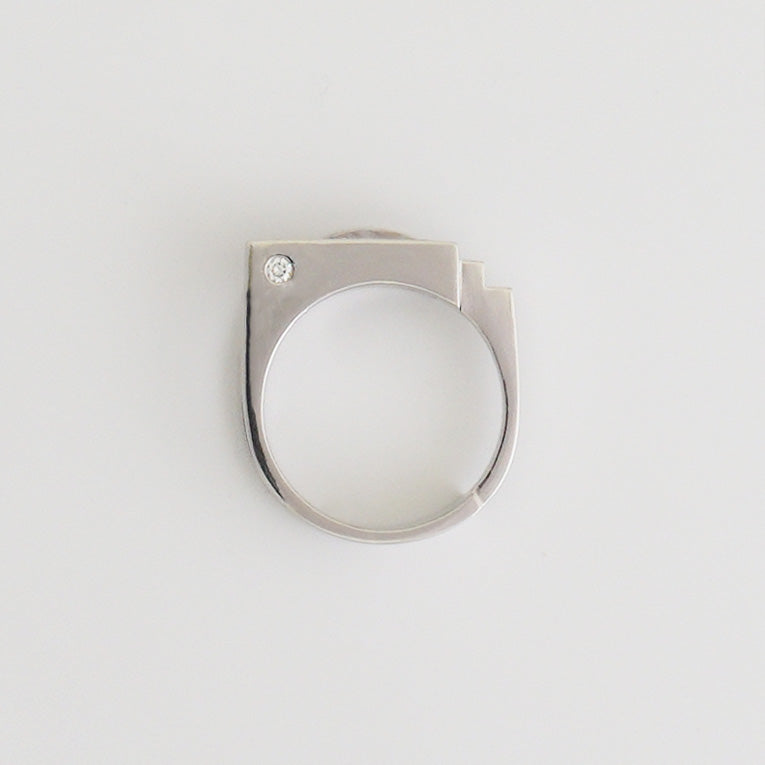 No.75 composition 4 Ring (PT900)