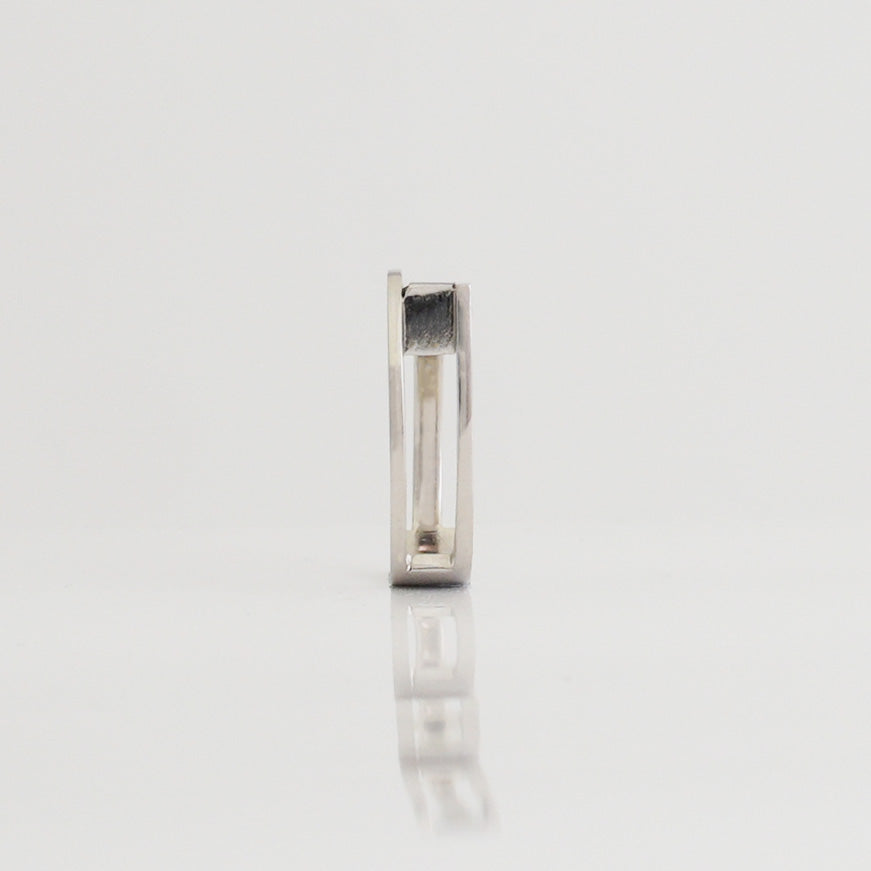 No.75 composition 4 Ring (PT900)