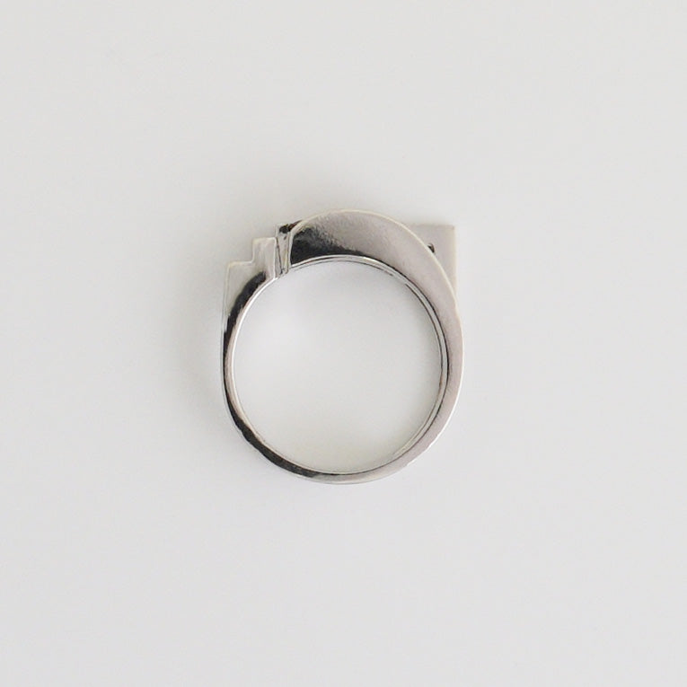 No.75 composition 4 Ring (PT900)