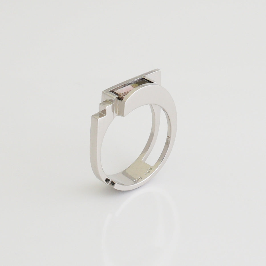 No.75 composition 4 Ring (PT900)