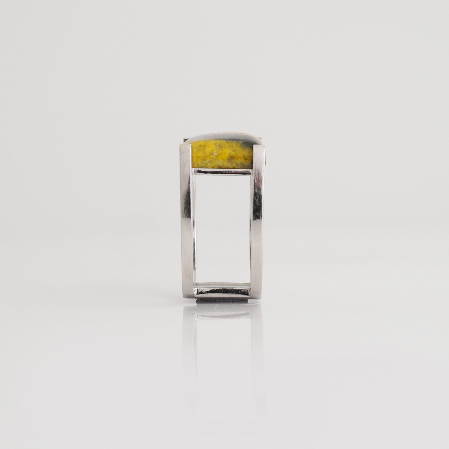 No.80 Earth 6 Ring(PT900)