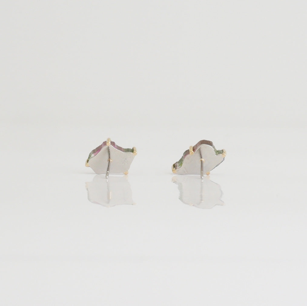 No.62 西瓜 3 Earrings（PT900/K18）