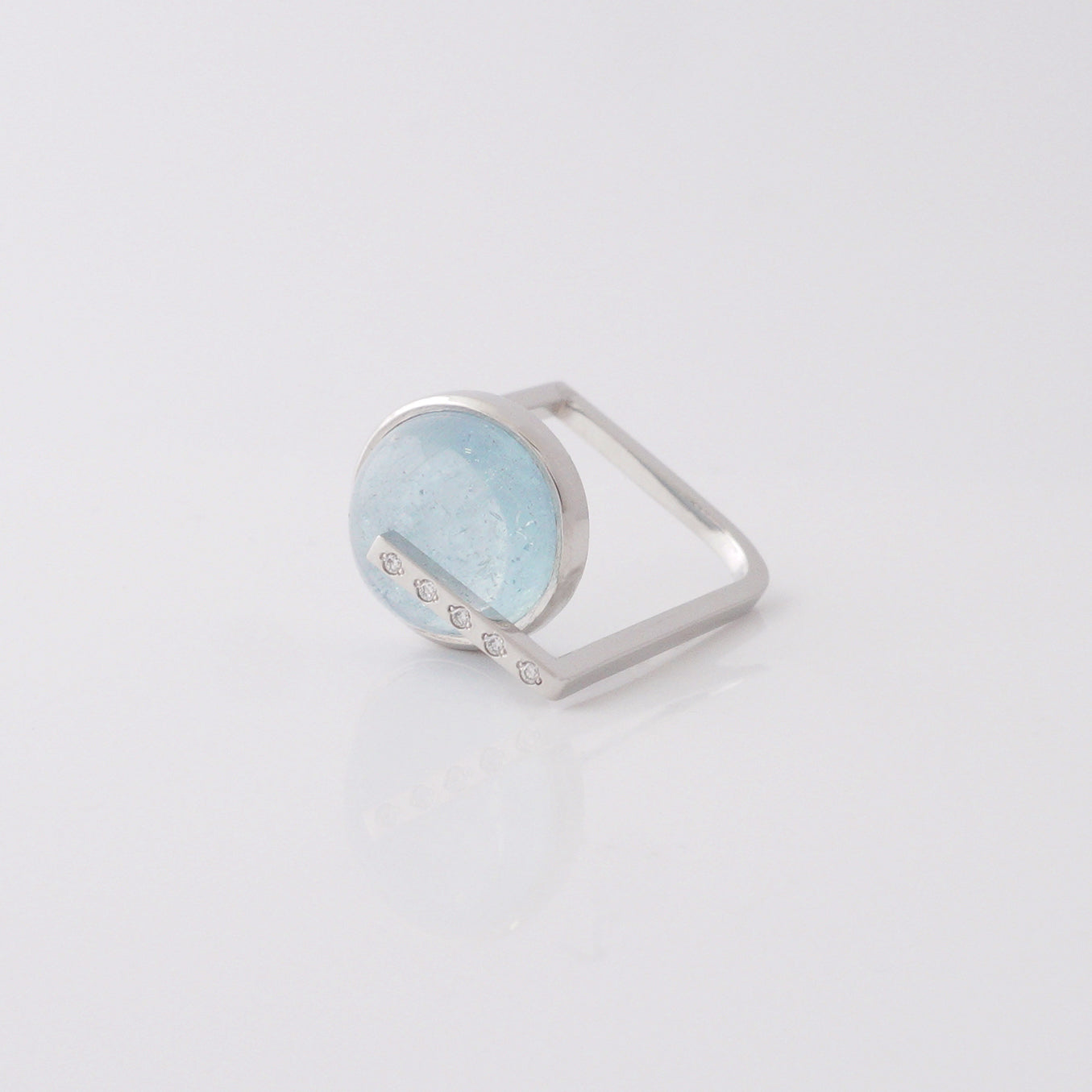 No.125 water cycle Ring（PT900）