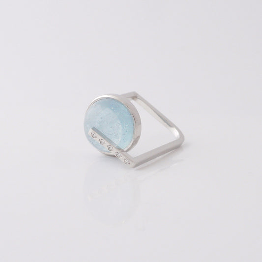 No.125 water cycle Ring（PT900）